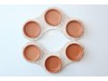 Handcrafted Passover Seder Plate, Terracotta Color - Graciela Noemi