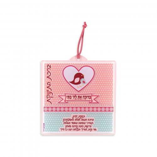 Lucite Wall Plaque with Baby Girl Blessings in Pink and Blue - Dorit Judaica