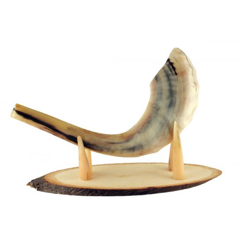Oval Wood Shofar Stand with Kudu Horn Clips  For Rams Horn Length 11-18 Inches