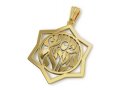 14K Gold Pendant, Star of David with Shema Yisrael in Hebrew