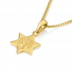 14k Gold Necklace and Pendant - Tree of Life Image in Center of Star of David