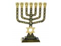 7-Branch Menorah with Judaic & Jerusalem Images & Star of David, Dark Green - 9.5