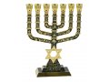 7-Branch Menorah with Judaic & Jerusalem Images & Star of David, Dark Green - 9.5