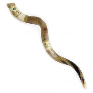 Jerusalem and Olive Tree Hand Painted Yemenite Shofar