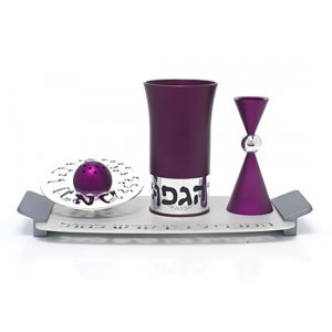 Purple Aluminum Havdalah Set by Agayof