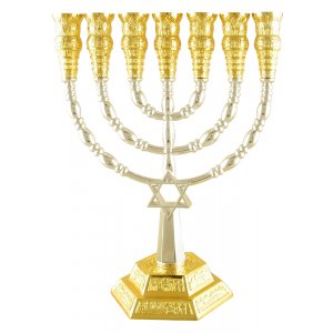 Two Tone Seven Branch Menorah - Star of David