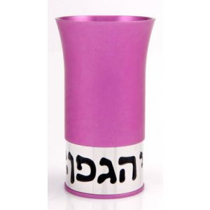 Hagafen Kiddush Cup Set by Agayof - Hot Pink