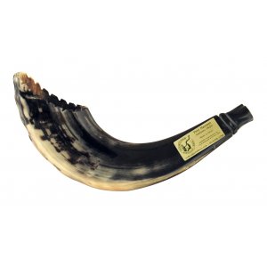 Crown Cut Ram's Horn Shofar in Moroccan Style - Dark