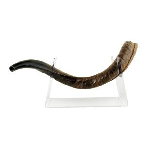 Lucite Stand for Yemenite Shofar Length 22-40 Inches