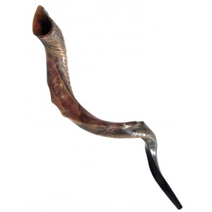 Nostalgic Crown Design Half Natural Half Polish Yemenite Shofar