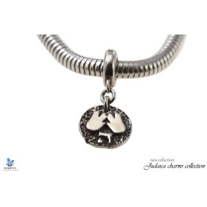 Kohen's Blessing Charm in Silver