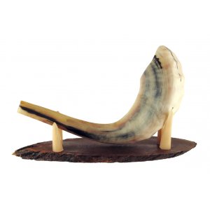 Oval Wood Shofar Stand with Kudu Horn Clips  For Rams Horn Length 11-18 Inches