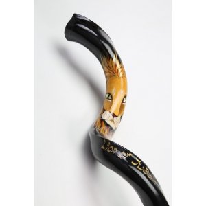 Lion of Judah Hand Painted Yemenite Shofar