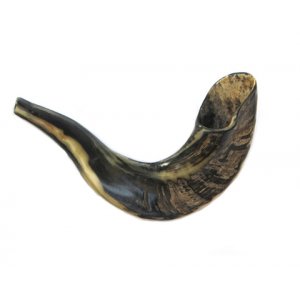 Small Shofar Rams Horn for Children - Dark Colors