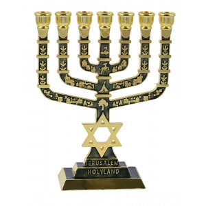 7-Branch Menorah with Judaic & Jerusalem Images & Star of David, Dark Green - 9.5"