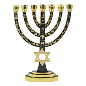 7-Branch Menorah, Gold with Green Enamel Star of David and Judaic Symbols - 9.5”