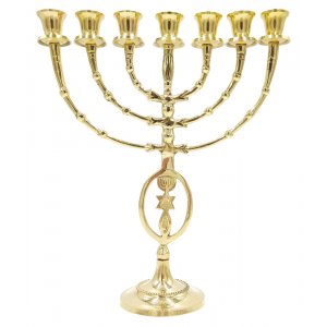 Oval Framed Grafted In Design on Stem of Seven Branch Gold Brass Menorah  12"