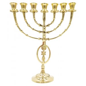Oval Framed Grafted In Design on Stem of Seven Branch Gold Brass Menorah – 12"