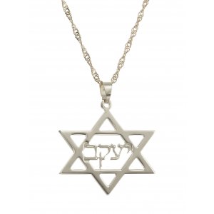 Hebrew Cursive Sterling Silver Name inside Star of David Necklace