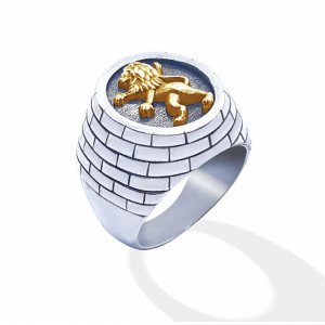 Lion of Judah Ring Men Ring Jerusalem 9k Gold and 925 Silver by Yoels