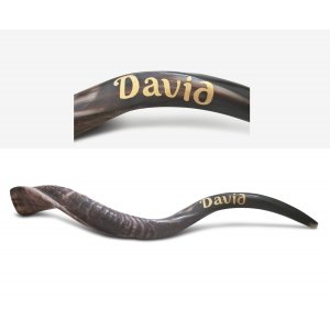 Personalized Shofar - Yemenite Kudu Horn Inscribed with Name