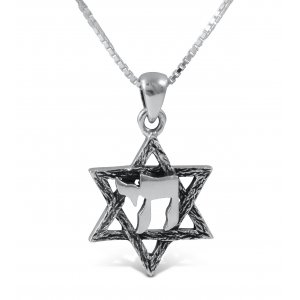 925 Sterling Silver Pendant Necklace, Star of David with Hebrew Chai Letters