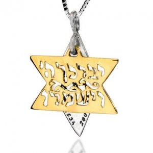 HaAri Jewelry Kohen Blessing Star of David Two-Tone Pendant 9K Gold & Sterling Silver