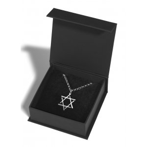 Stainless Steel Necklace, Star of David with Contemporary Touch - Adi Sidler