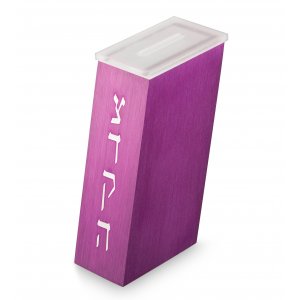 Contemporary Brushed Aluminum Tzedakah Charity Box, Purple - Adi Sidler