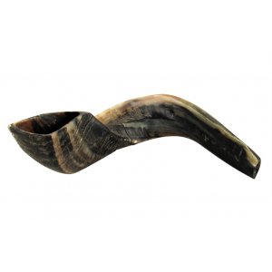 Natural Black Rams Horn Shofar - Large