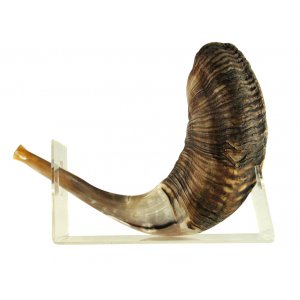 Lucite Shofar Stand for Large Ram's Horn of 18-23 Inches Long