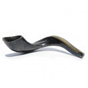 Large Polished Black Ram's Horn Shofar