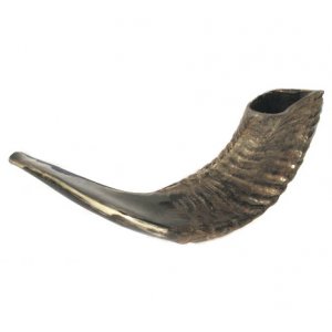 Natural Finish Black Rams Horn Shofar - Medium