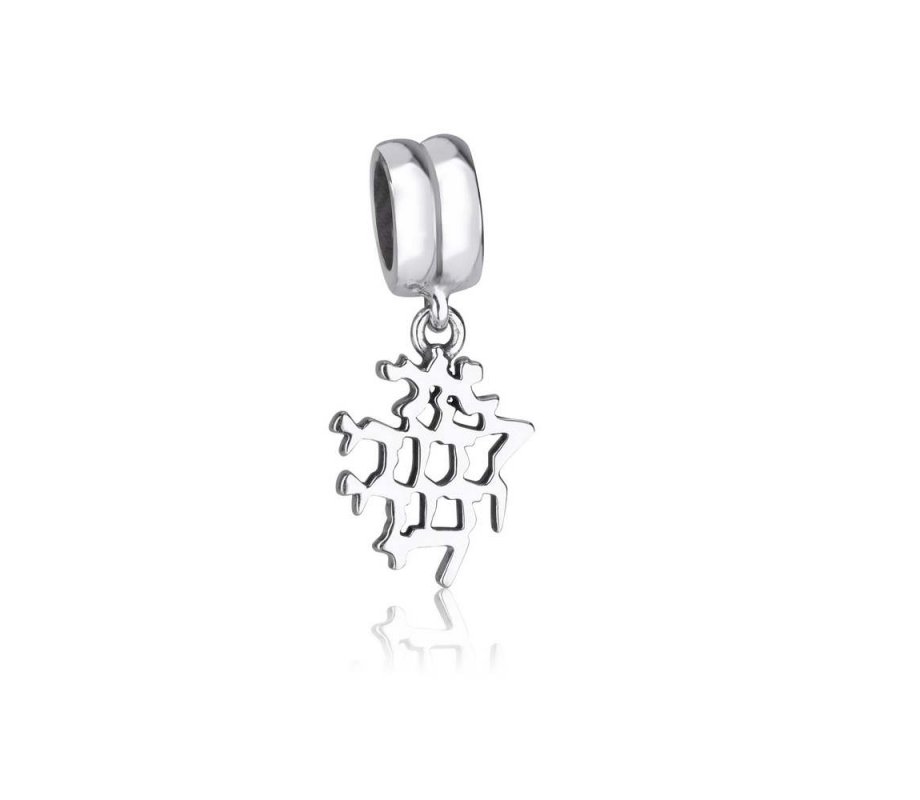 Ani LeDodi Charm in Silver