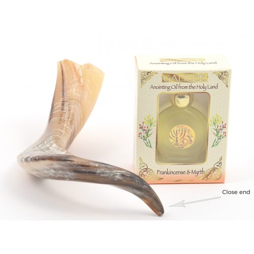 Anointing Shofar Made of a Natural Ram's Horn + Galilee Anointing Oil Frankincense and Myrrh