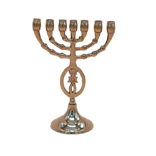 Brass Gold Seven Branch Menorah with Star of David and Fish  8 Inches Height
