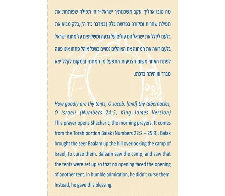 Brass Wall Hanging Dove in Star of David - Mah Tovu by Shraga Landesman