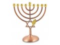 Bronze Color Hanukkah Menorah with Leaf and Star of David - 7 Inches