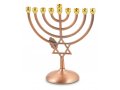 Bronze Color Hanukkah Menorah with Leaf and Star of David - 7 Inches