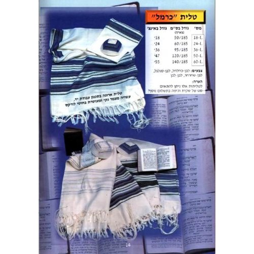 Carmel Design Tallit by Talitania