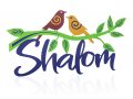 Colorful Shalom Wall Plaque, Doves on Olive Branch, English - Dorit Judaica
