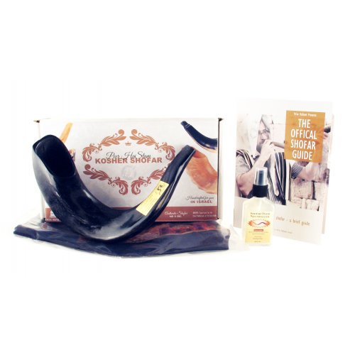 Complete Shofar Set Gift Box - Polished Black Ram's Horn