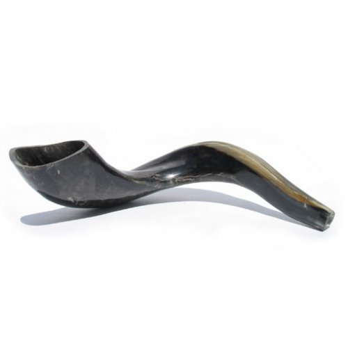 Complete Shofar Set Gift Box - Polished Black Ram's Horn