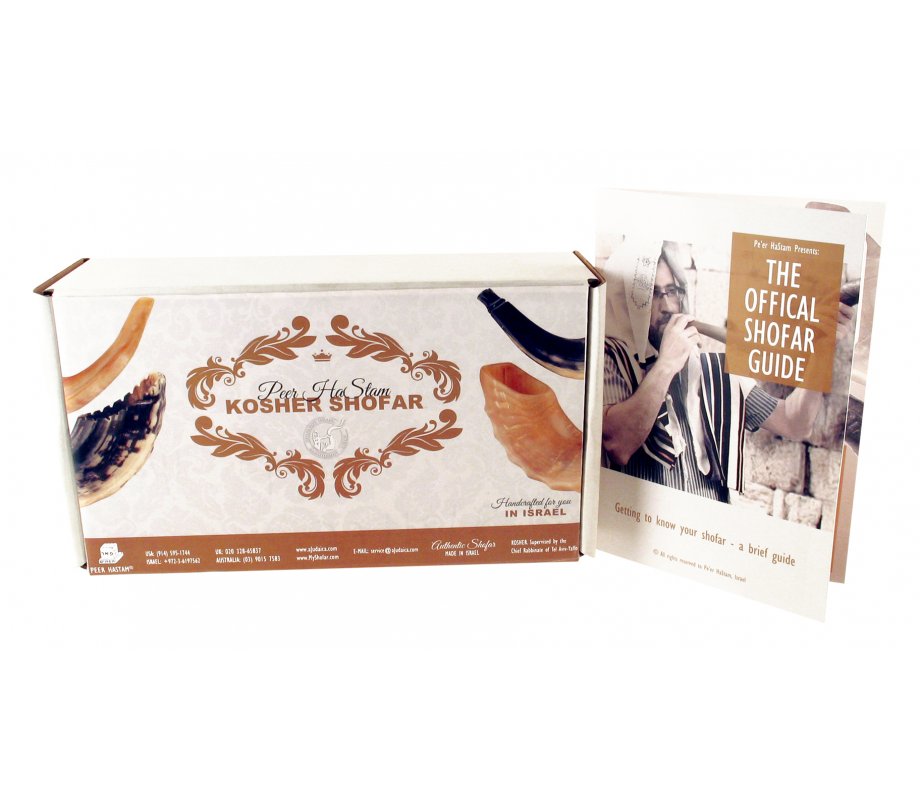 Complete Shofar Set Gift Box - Polished Ram's Horn