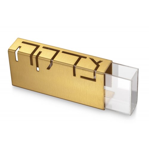 Contemporary Anodized Aluminum Charity Tzedakah Box, Gold - Adi Sidler