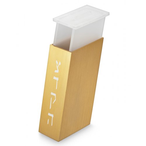 Contemporary Brushed Aluminum Tzedakah Charity Box, Gold - Adi Sidler