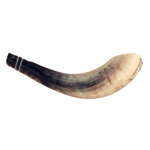 Crown Cut Moroccan Cut Ram's Horn Shofar - Light