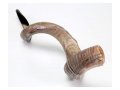 Crown Design Nostalgic Natural Yemenite Shofar