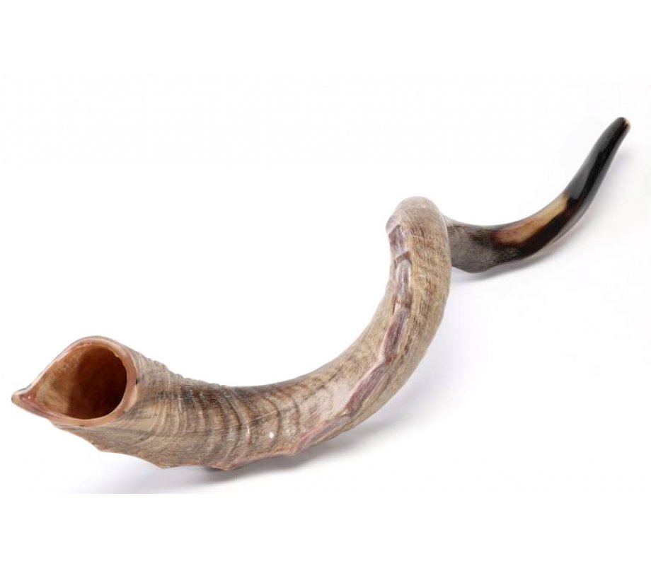 Crown Design Nostalgic Natural Yemenite Shofar