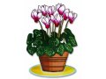 Dorit Judaica Free-Standing Cyclamen Sculpture